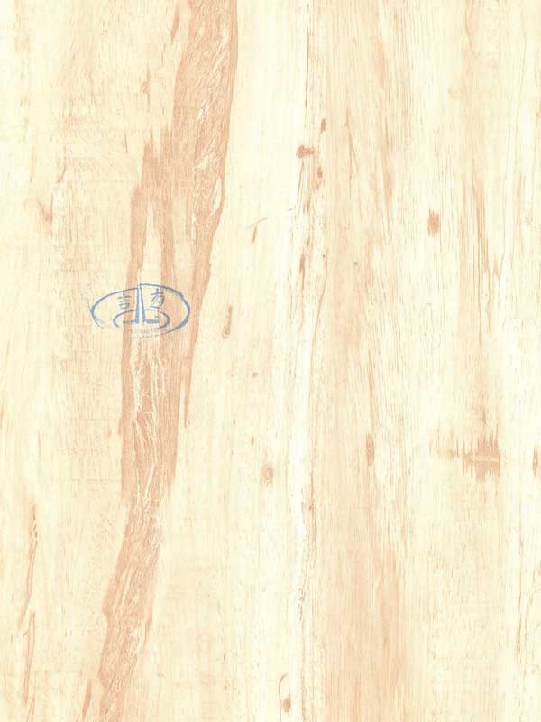 Tiger Floor No.10522