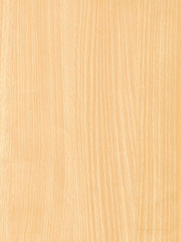 Tiger Floor No.1323