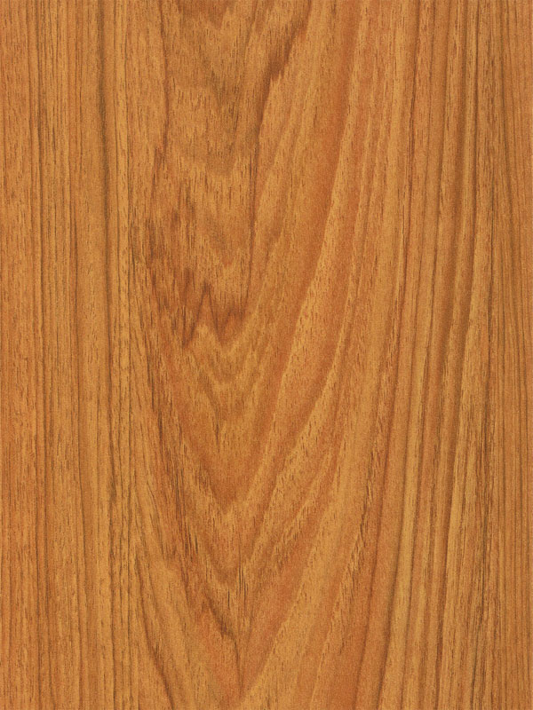 Tiger Floor No.2055