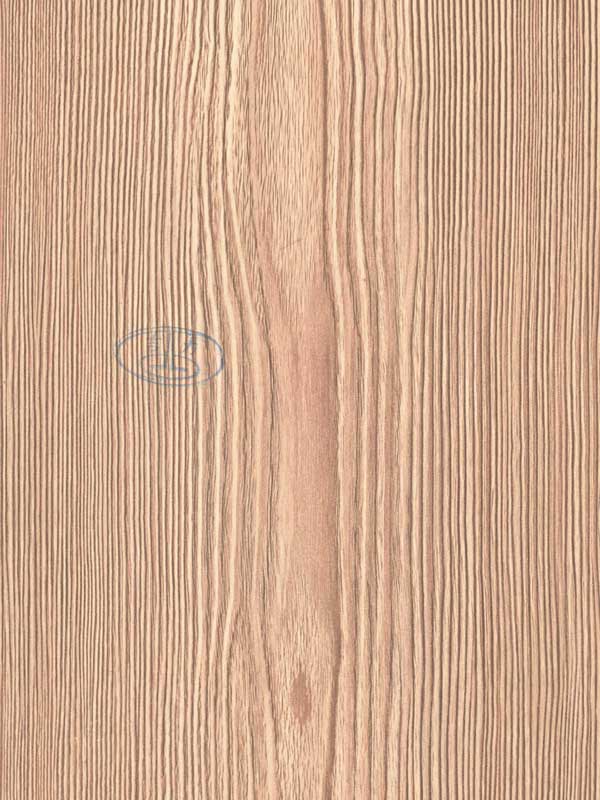 Tiger Floor No.20825