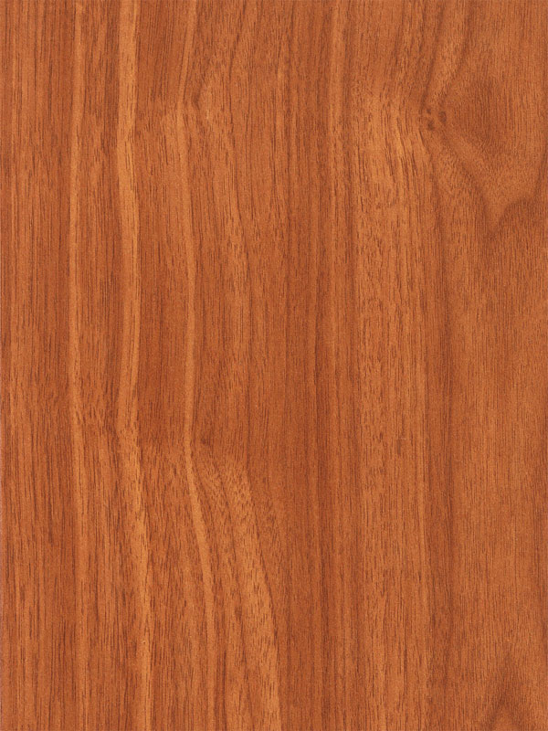 Tiger Floor No.2233