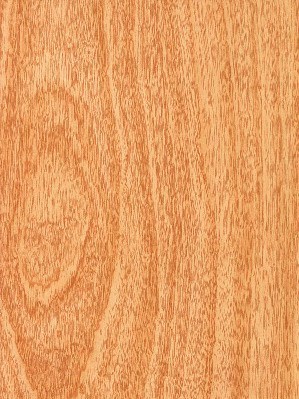 Tiger Floor No.3125