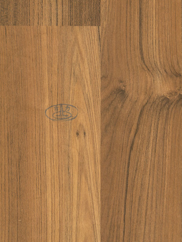 Tiger Floor No.4039