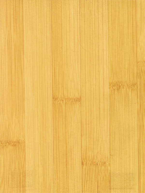 Tiger Floor No.5025