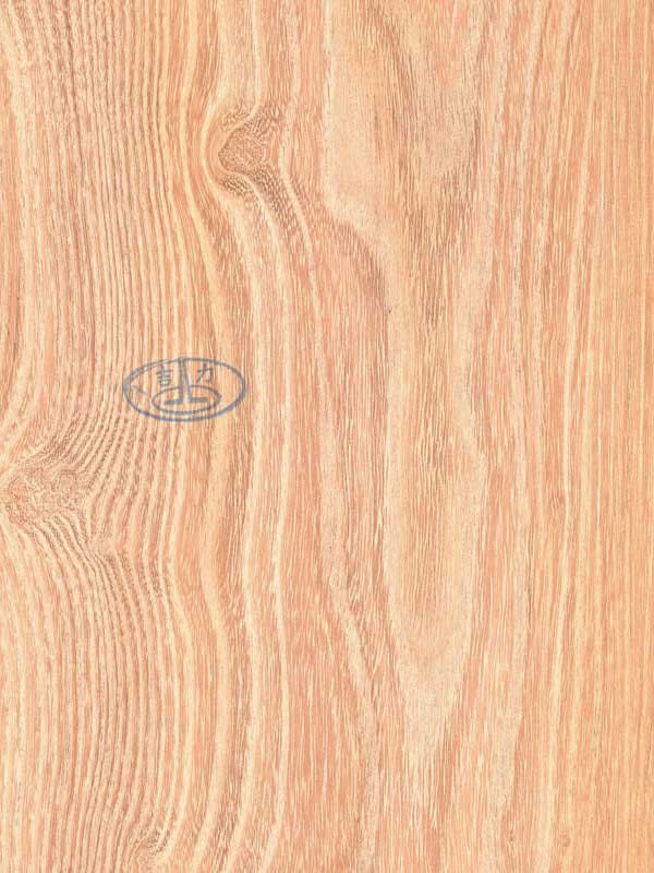 Tiger Floor No.50806