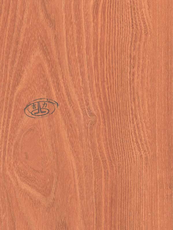 Tiger Floor No.50867