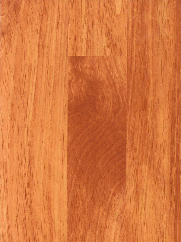 Tiger Floor No.6236