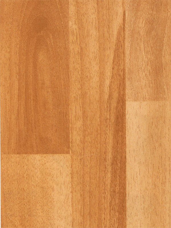 Tiger Floor No.6335