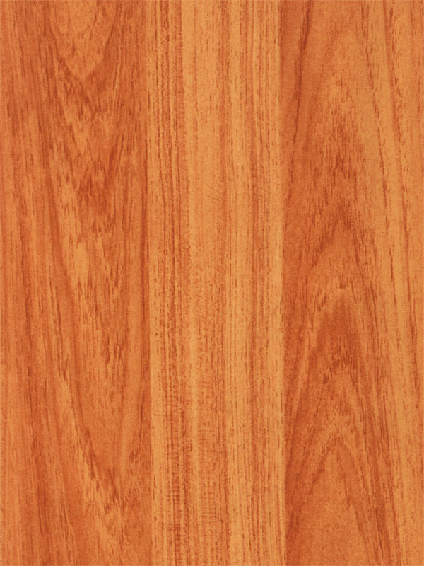 Tiger Floor No.6638