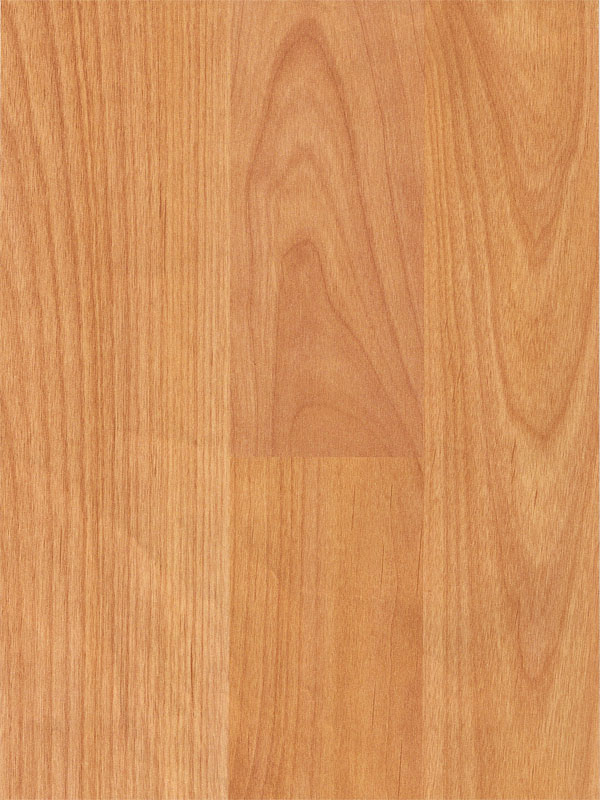Tiger Floor No.6926