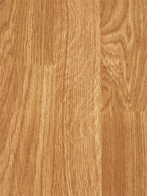 Tiger Floor No.7026