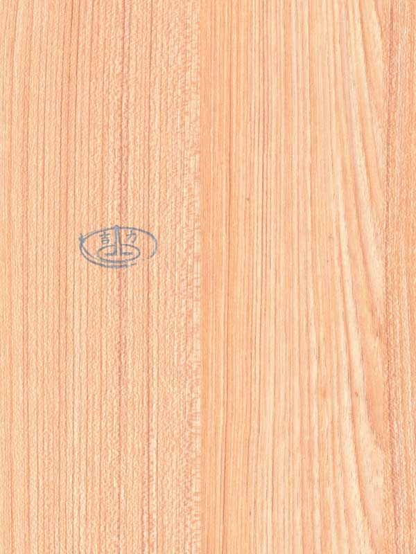 Tiger Floor No.70915