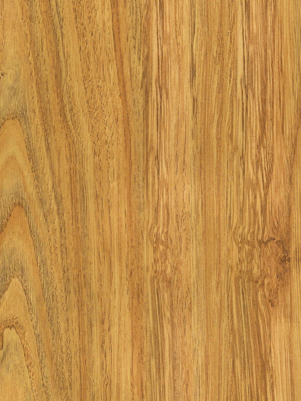 Tiger Floor No.H0325