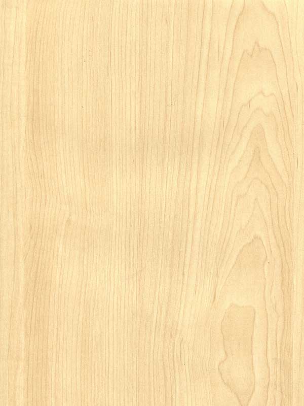 Tiger Floor No.H189-31