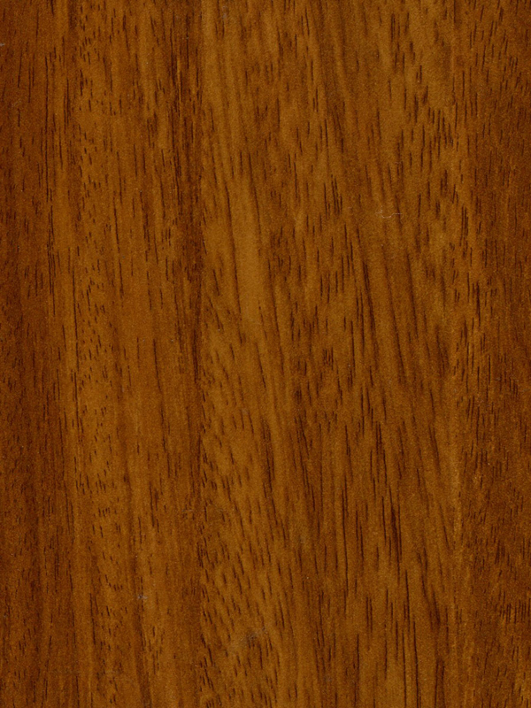 Tiger Floor No.H2007-5