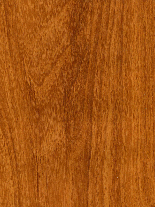 Tiger Floor No.H3856