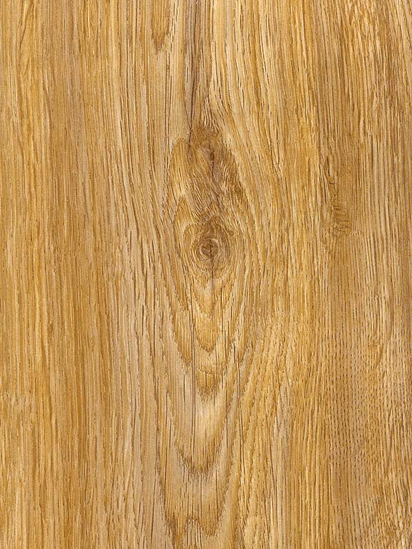 Tiger Floor No.H48020-2