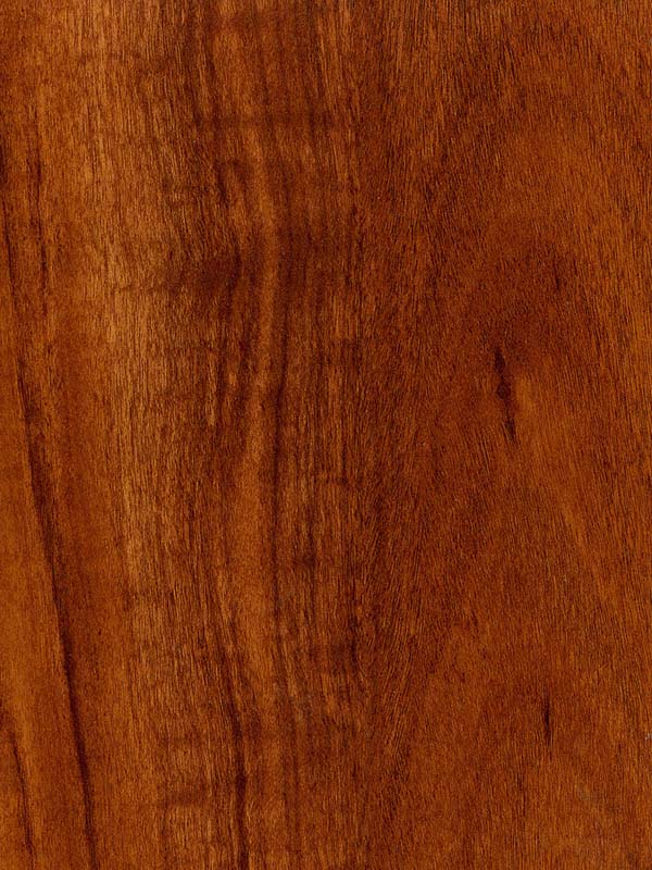 Tiger Floor No.H6082