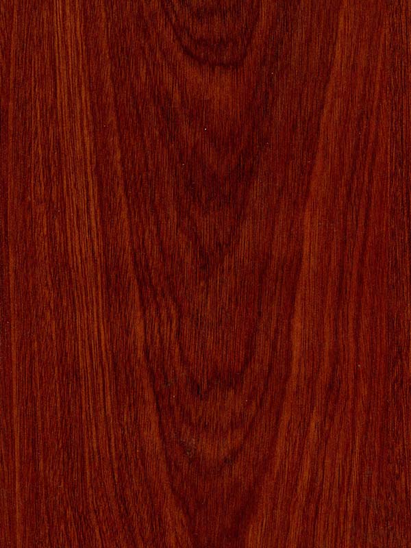 Tiger Floor No.H617-10