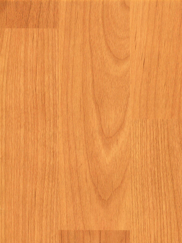 Tiger Floor No.H6927