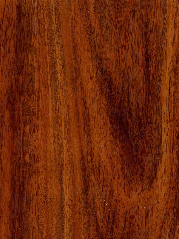 Tiger Floor No.H7118