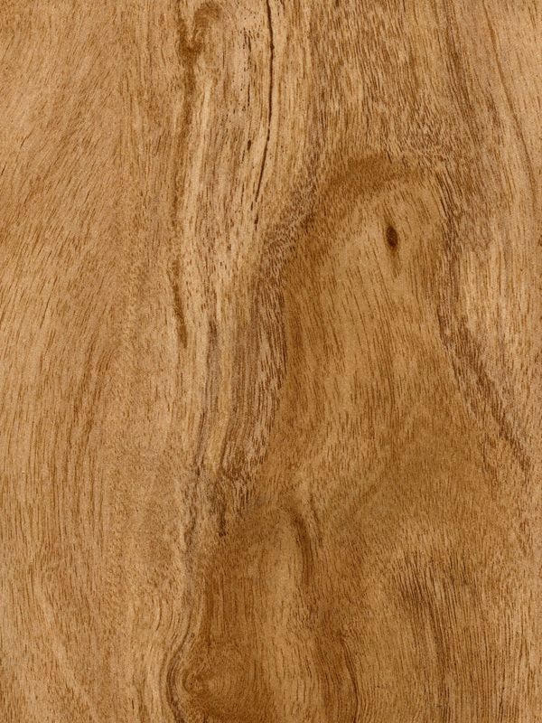 Tiger Floor No.H8205-1
