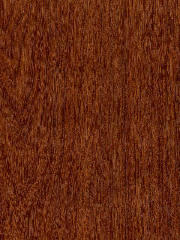 Tiger Floor No.H9168