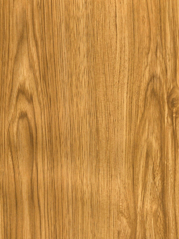 Tiger Floor No.H9615